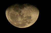 14/365 Goodnight, Moon.